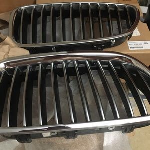 OEM BMW Kidney Grills